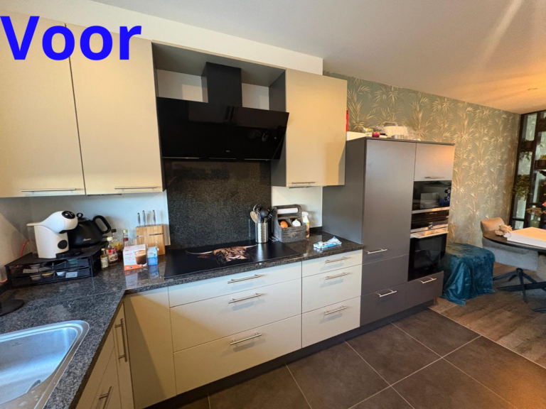 Moderne keuken met koelkast en oven.